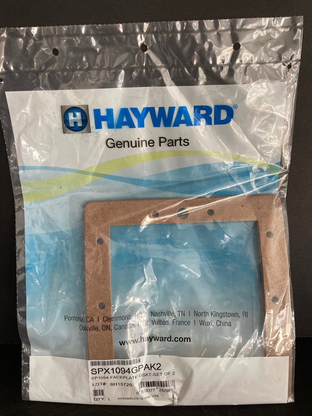 Hayward Faceplate Gasket - Set of 2